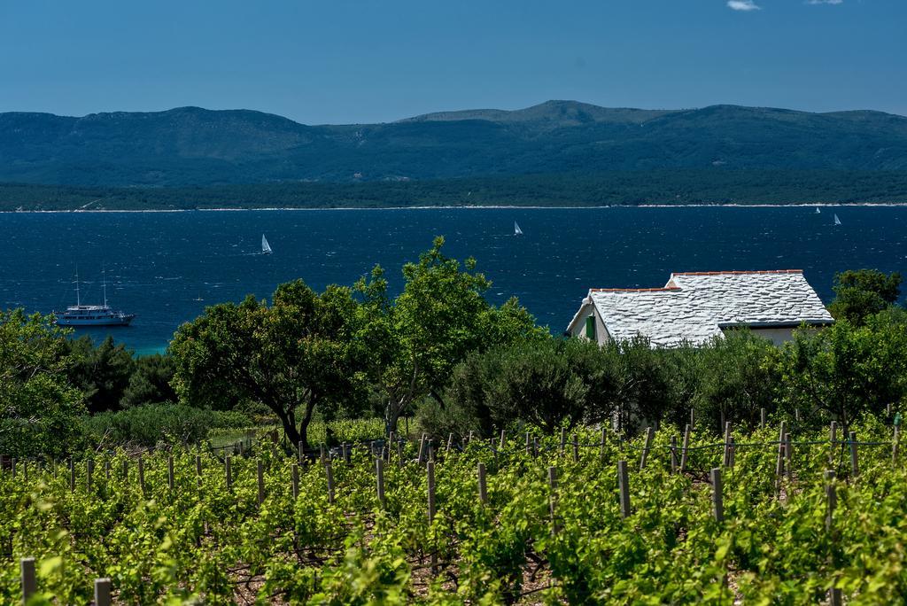 Holiday Home Vineyard House โบล ภายนอก รูปภาพ